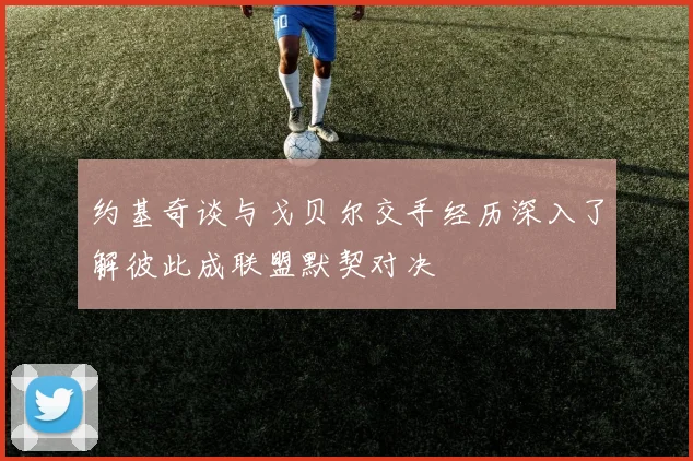 约基奇谈与戈贝尔交手经历深入了解彼此成联盟默契对决