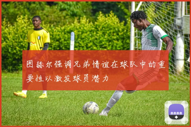 图赫尔强调兄弟情谊在球队中的重要性以激发球员潜力